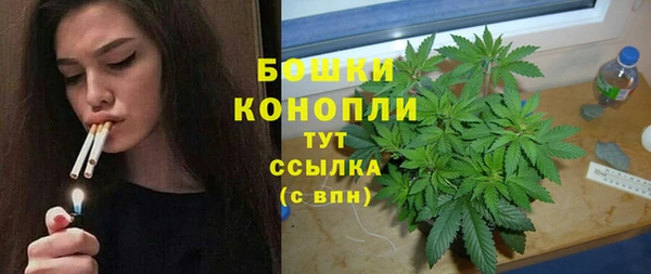 трава Нязепетровск
