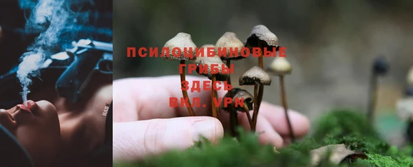 трава Нязепетровск
