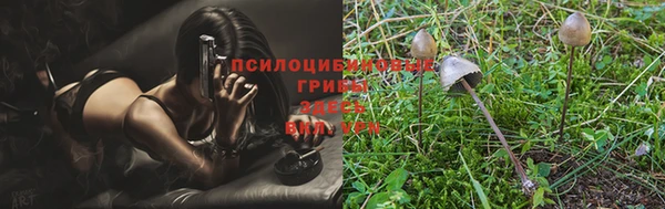 спиды Нягань