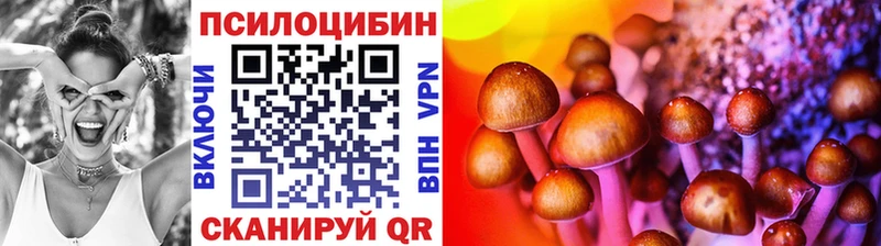 Псилоцибиновые грибы мицелий  Котовск 